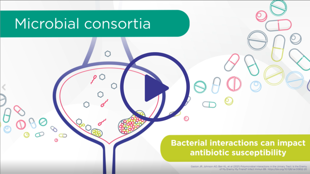Bacterial Interactions Video